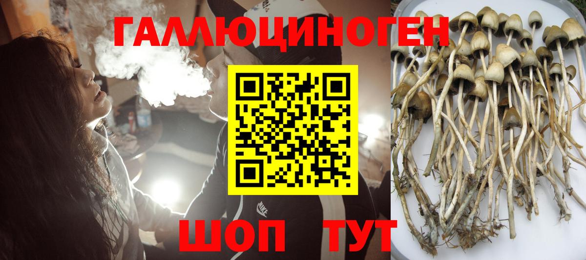 Псилоцибиновые грибы ЛСД Волгоград