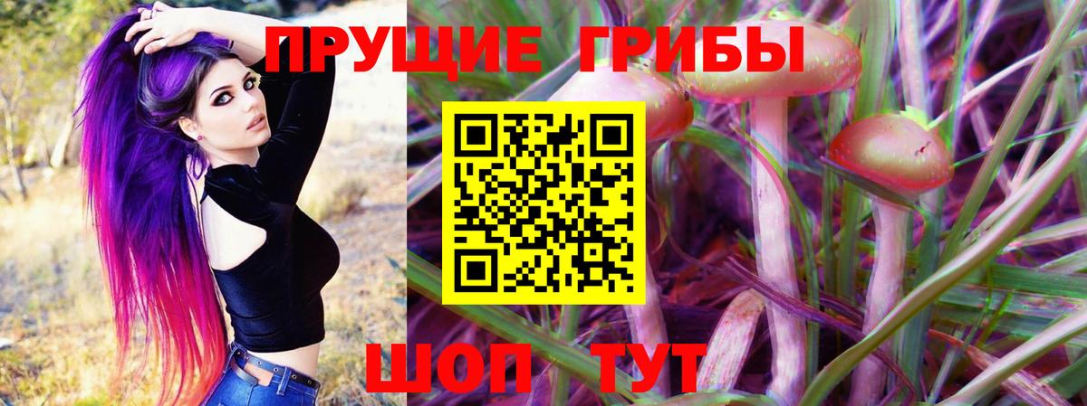 закладки  Галлюциногенные грибы прущие грибы  Волгоград  Вход с VPN  Галлюциногенные грибы MAGIC MUSHROOMS 