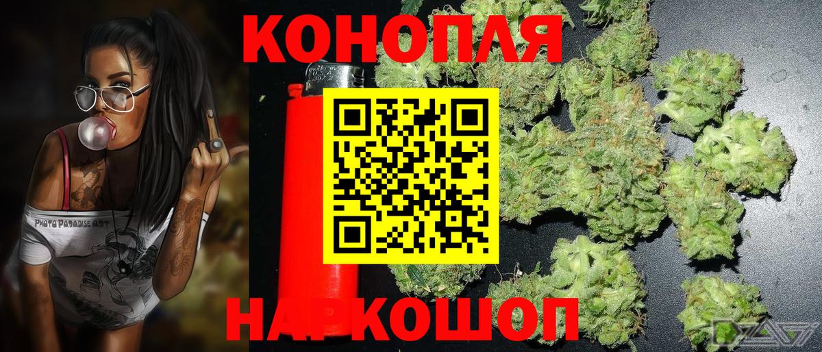 Шишки марихуана план Волгоград